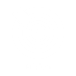 mision