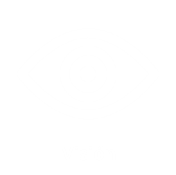 vision